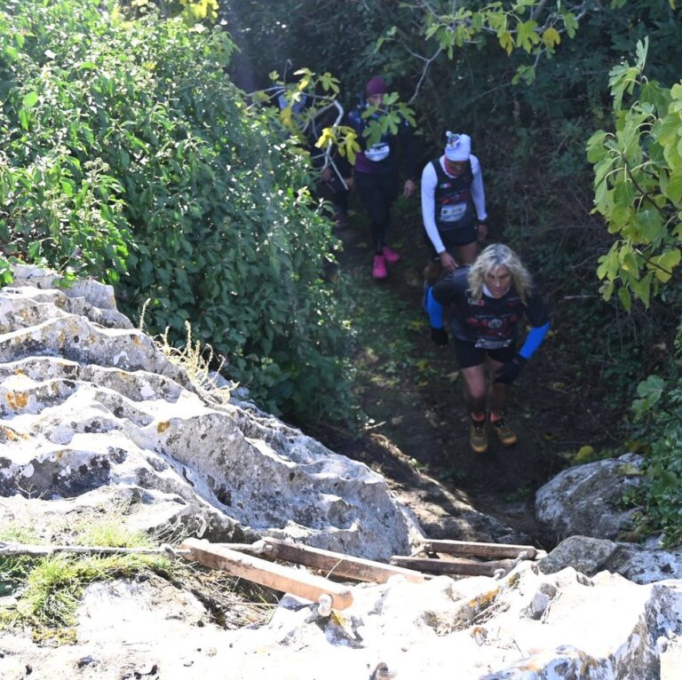 Scaletta di corda sul percorso del TCQ