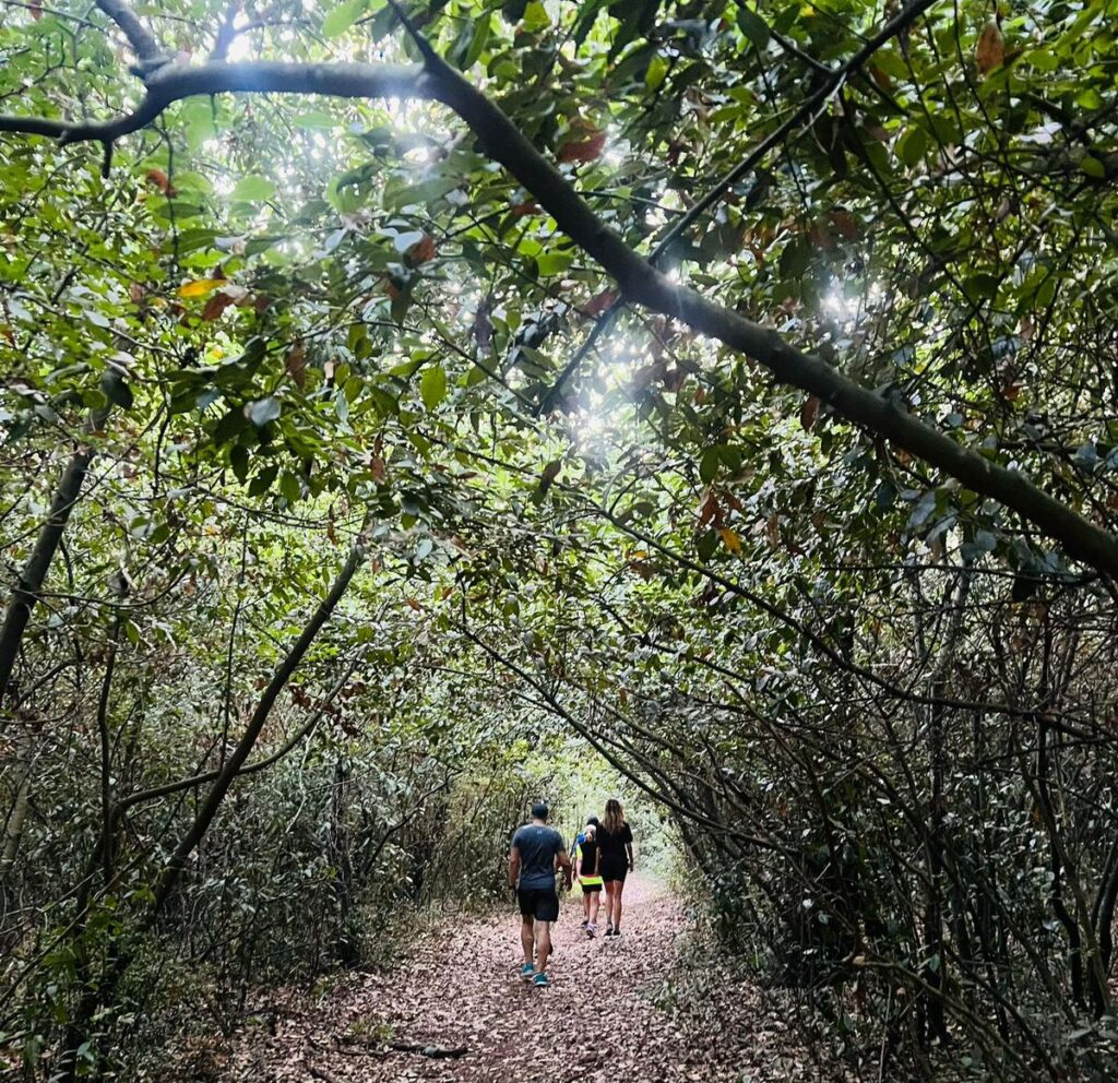 Percorso gara nella selva di Alberobello